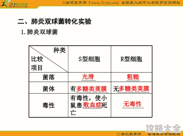 深入探索：第一后裔无定形物质获取最新方法与技巧解析