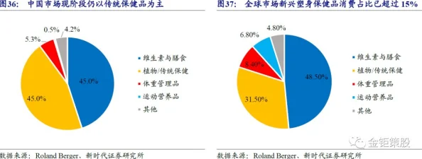 中国式网游资金短缺现状深度剖析及应对策略创新探讨